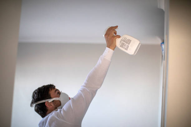 Best Mold Remediation for Specific Building Types in Salt Creek Commons, IN