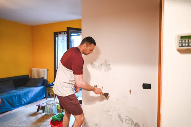 Best Bathroom Mold Remediation in Salt Creek Commons, IN